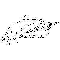 cat fish dxf