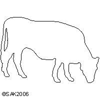 cnc cow