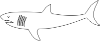 Shark dxf