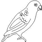 dxf parrot 