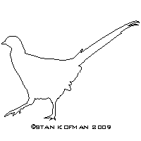 pheasent dxf cnc vector art